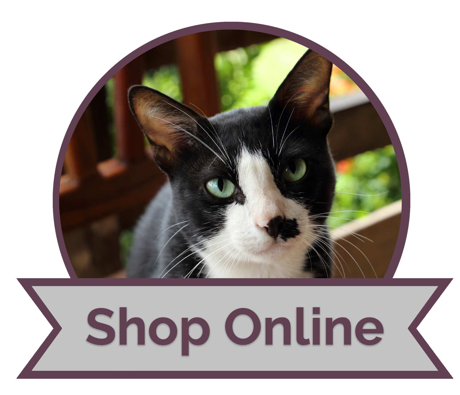 Clyde Park Veterinary Clinic Veterinarians serving Grand Rapids